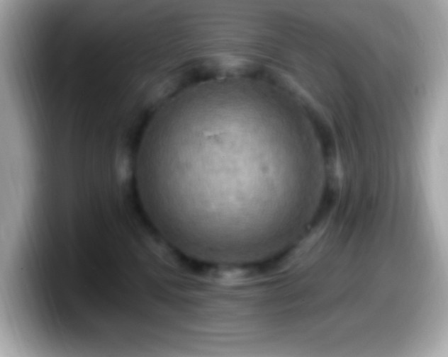 X0000099950472200805231325