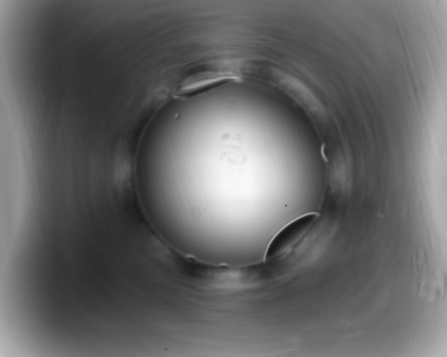 X0000099950473200805231325