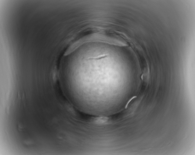 X0000099950474200805231325