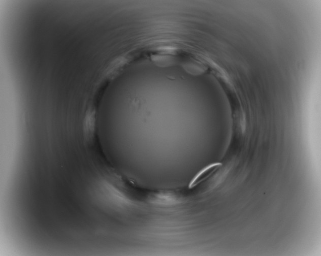 X0000099950475200805231325