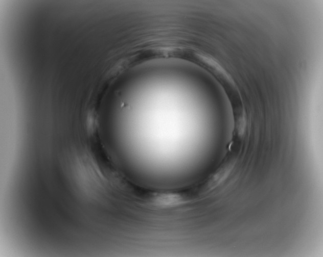X0000099950476200805231325