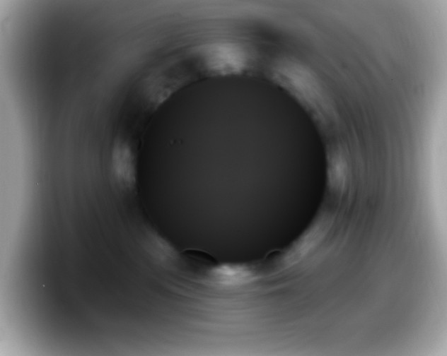 X0000099950477200805231325
