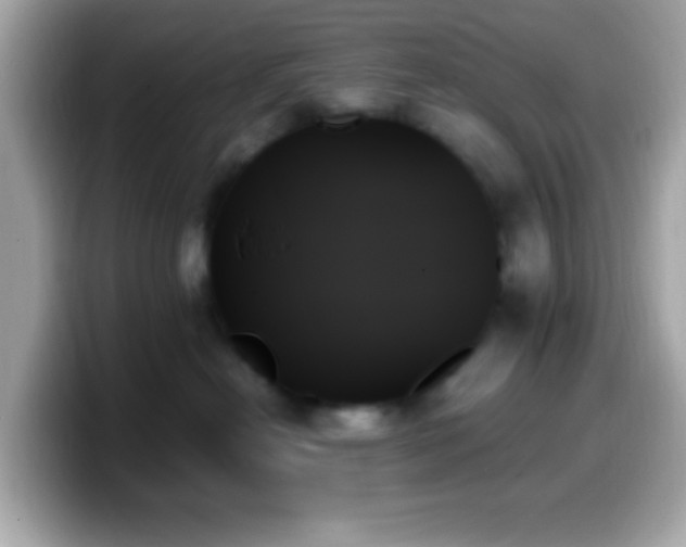 X0000099950478200805231325