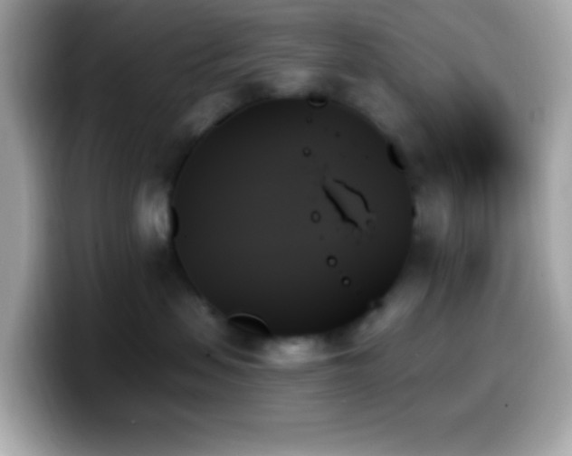 X0000099950479200805231325