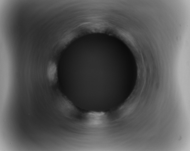 X0000099950480200805231325