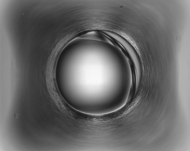X0000099950481200805231324
