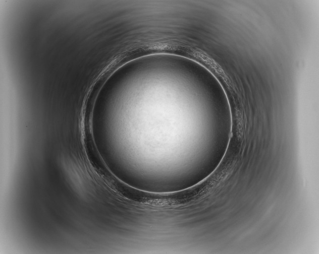 X0000099950482200805231324