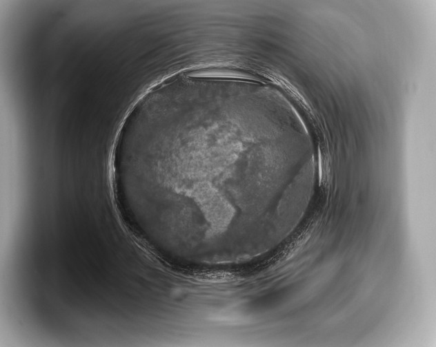 X0000099950483200805231324