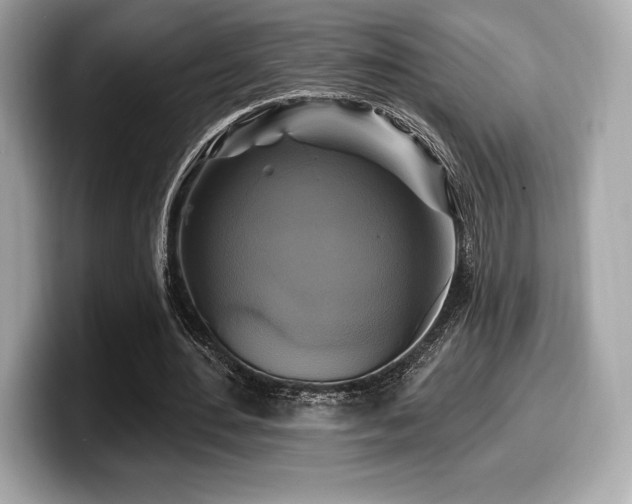 X0000099950484200805231324