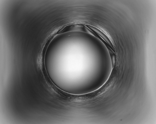 X0000099950485200805231324