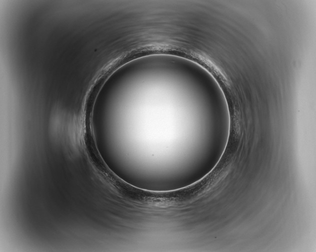 X0000099950486200805231324