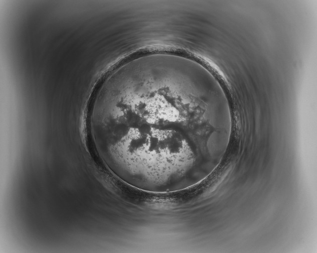X0000099950487200805231324