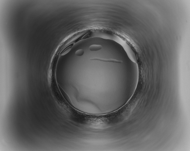 X0000099950488200805231324