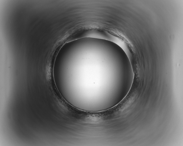 X0000099950489200805231324