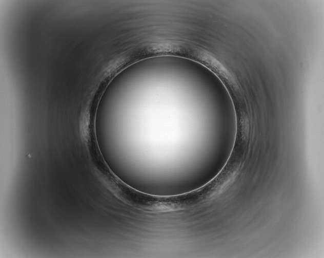 X0000099950490200805231324
