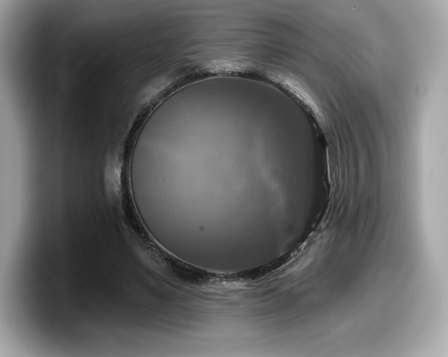 X0000099950491200805231324