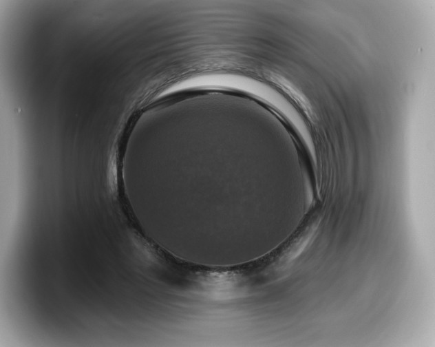 X0000099950493200805231324