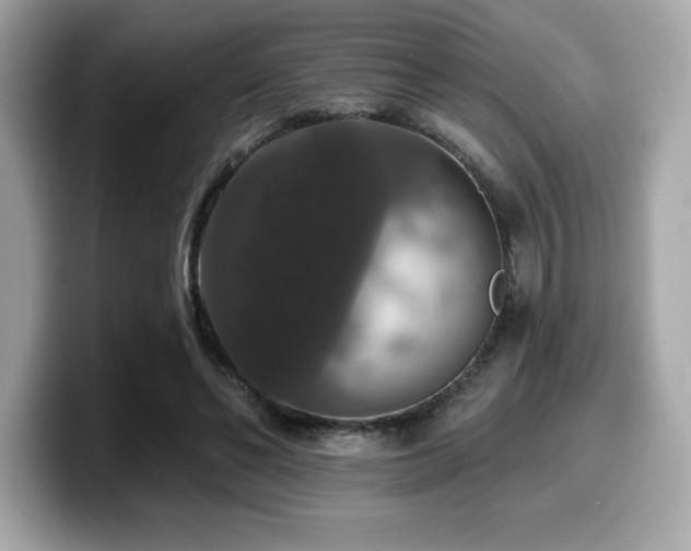 X0000099950494200805231324