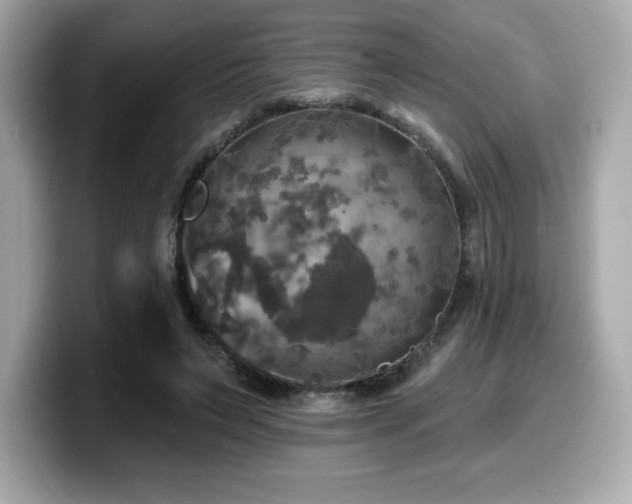 X0000099950495200805231324
