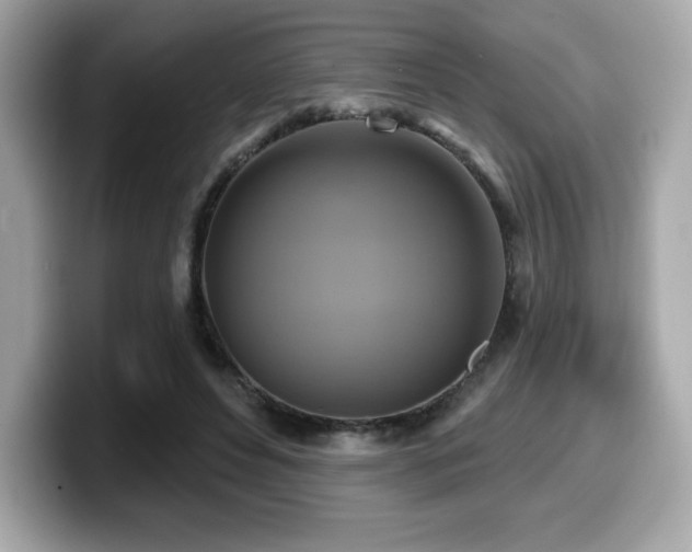 X0000099950496200805231324
