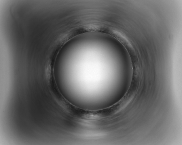 X0000099950498200805231324