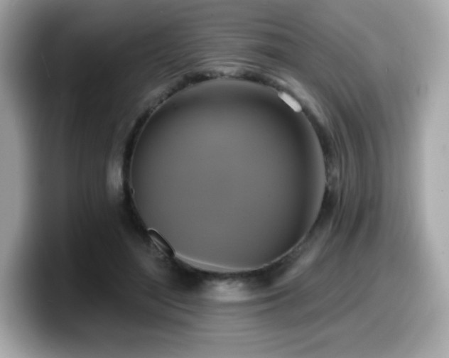 X0000099950500200805231324