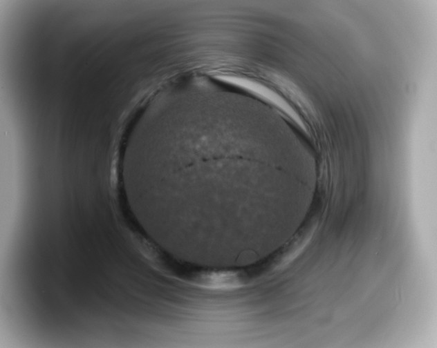 X0000099950501200805231324