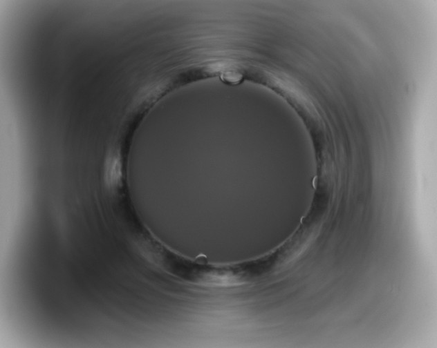 X0000099950502200805231324