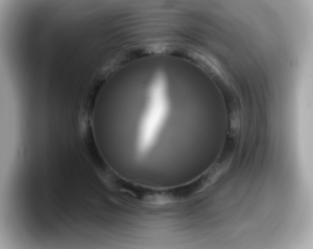 X0000099950503200805231324