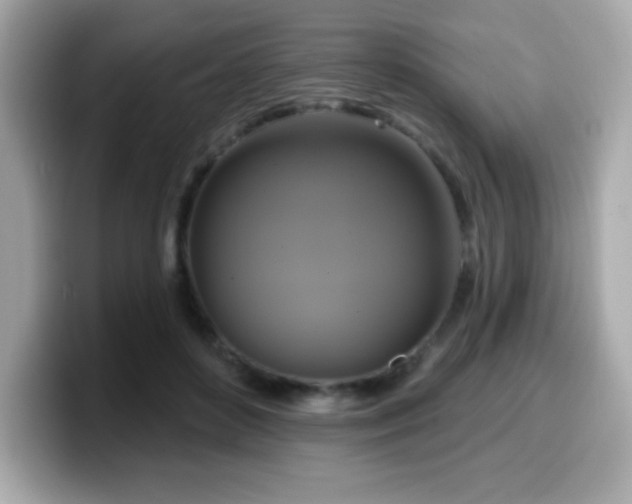 X0000099950504200805231324