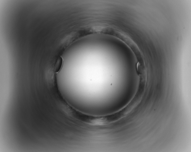 X0000099950505200805231324