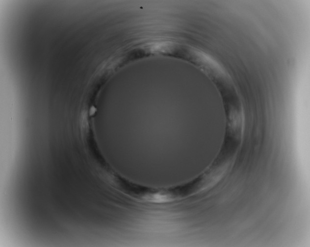 X0000099950506200805231324