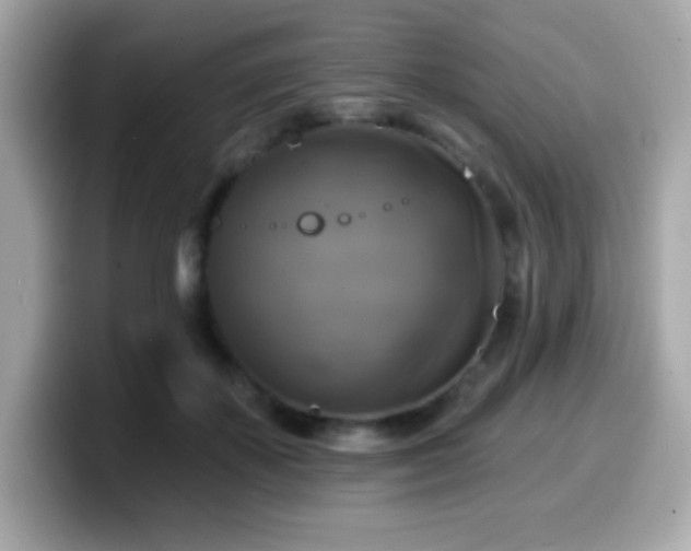 X0000099950507200805231324
