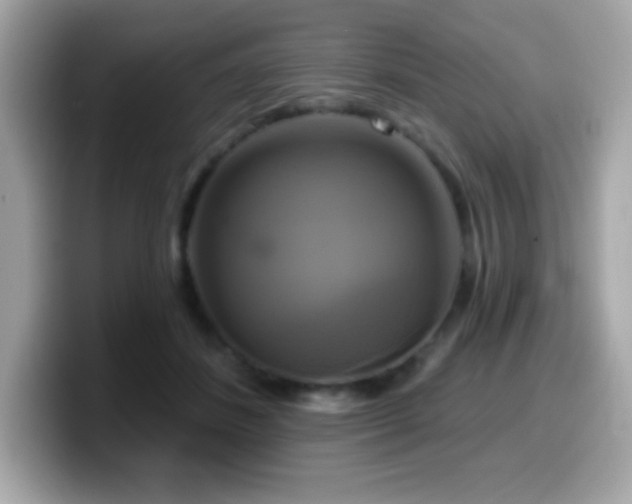 X0000099950508200805231324