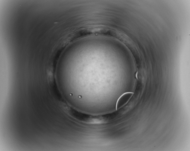 X0000099950510200805231324