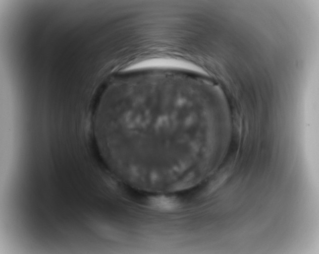 X0000099950511200805231324