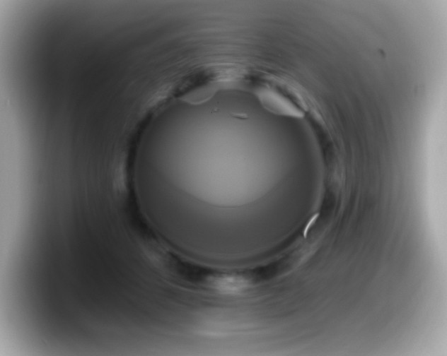 X0000099950512200805231324