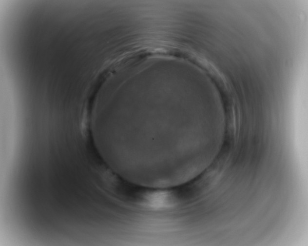 X0000099950513200805231324