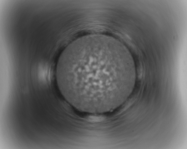 X0000099950515200805231324