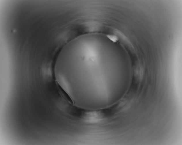 X0000099950516200805231324