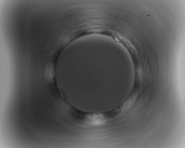 X0000099950517200805231324