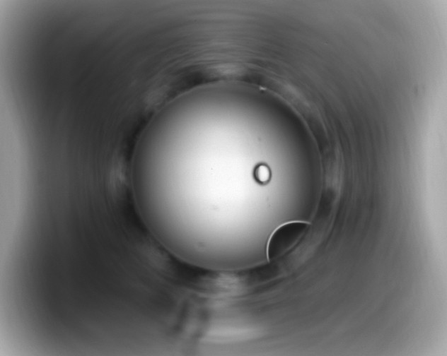 X0000099950518200805231324