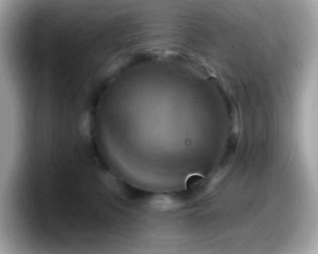 X0000099950519200805231324