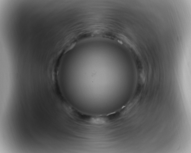 X0000099950520200805231324