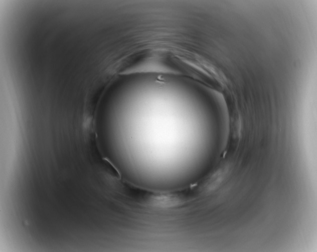 X0000099950521200805231324