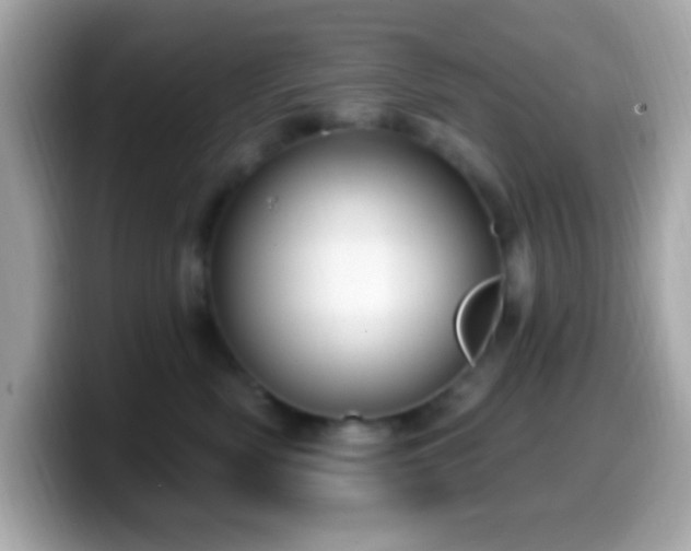 X0000099950522200805231324