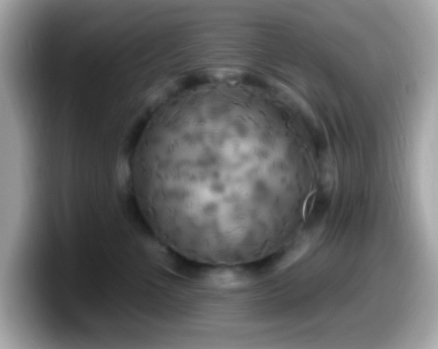 X0000099950523200805231324