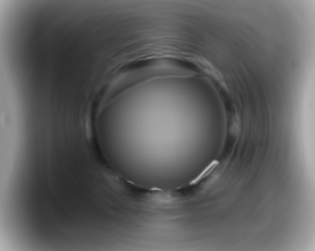 X0000099950524200805231324