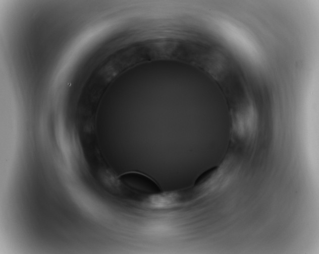 X0000099950526200805231324
