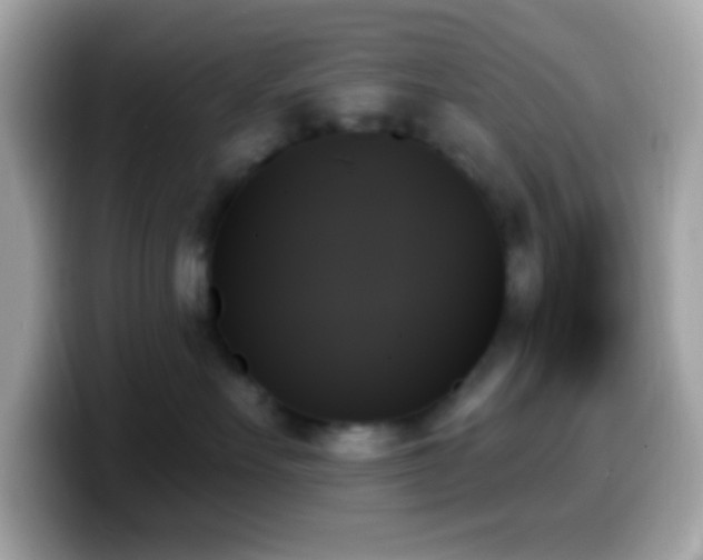 X0000099950527200805231324